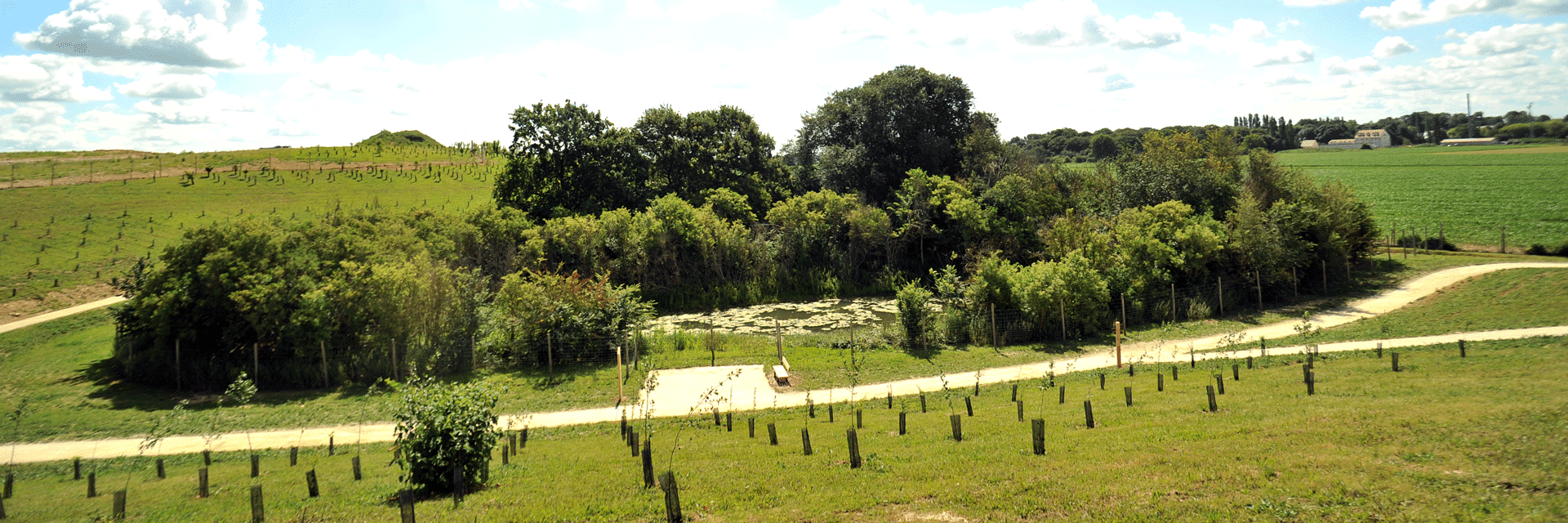 Tournage vidéo ECT par l'agence Siouxe au Parc de l'arboretum à Moissy-Cramayel